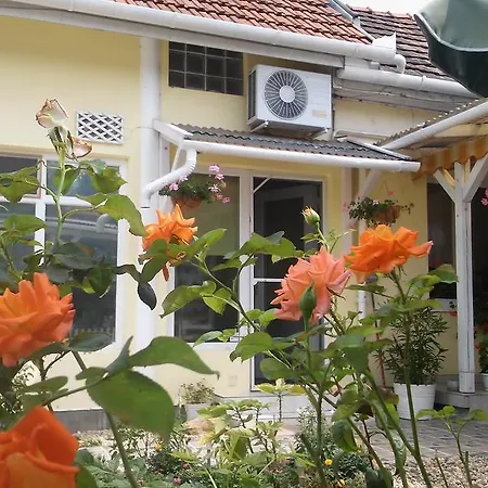 Zöld Sziget Apartman * Gyula